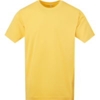 196176_yellow_01.png